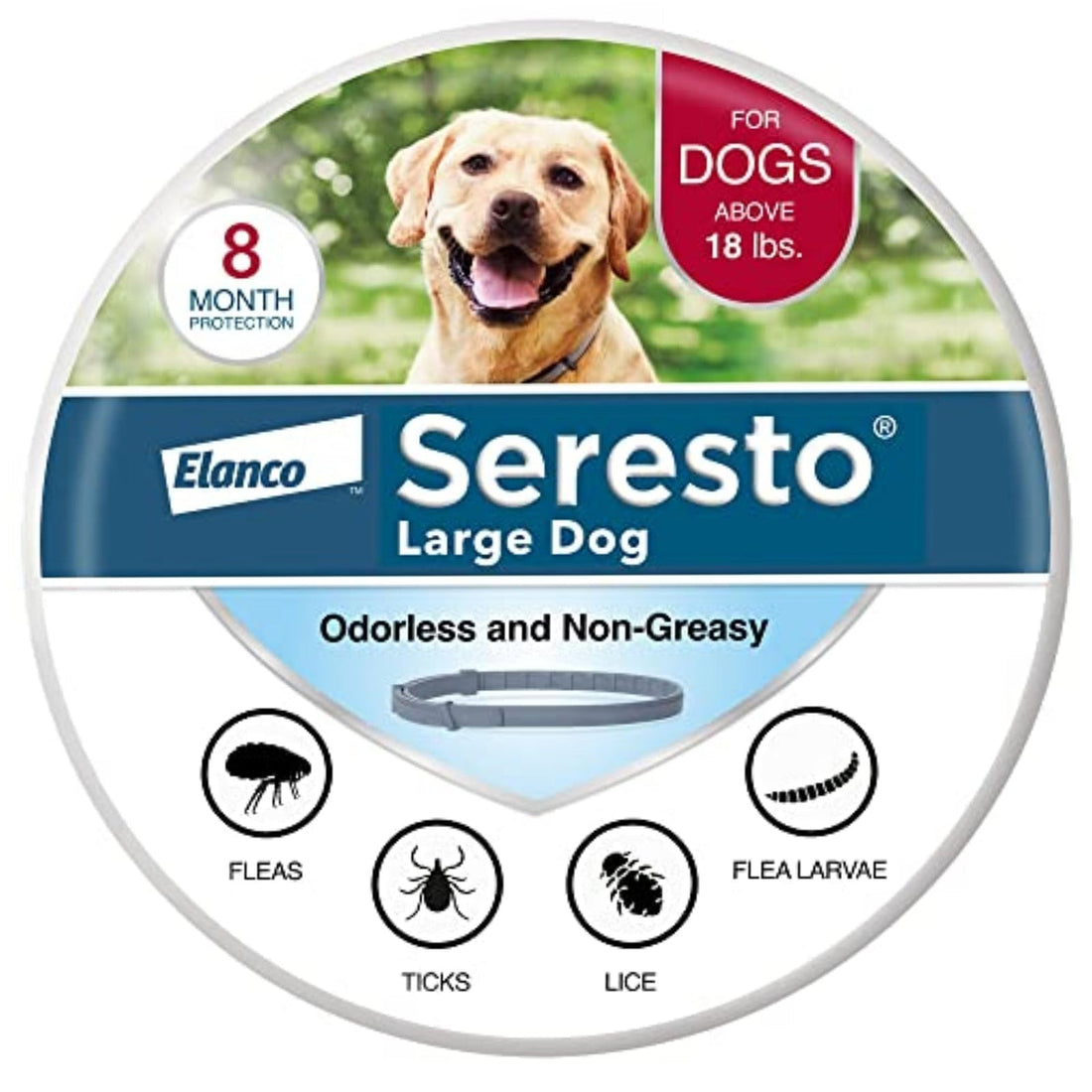Seresto Collar for Puppies: What Age and Size to Check