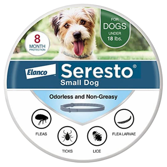Seresto Collar Does Not Work? Common Reasons and Checks