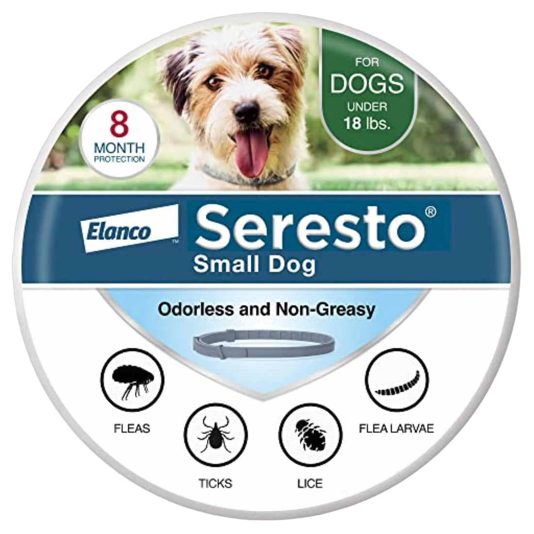 Genuine Seresto Collar: How to Check Before Buying